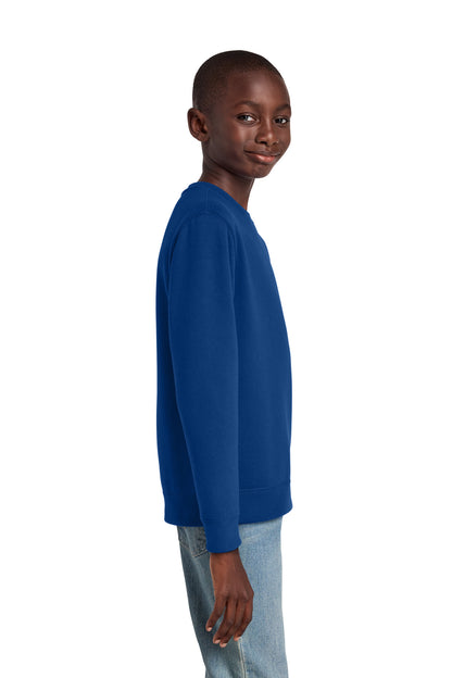 DeepRoyal District Youth V.I.T. Fleece Crew DT6104Y plain