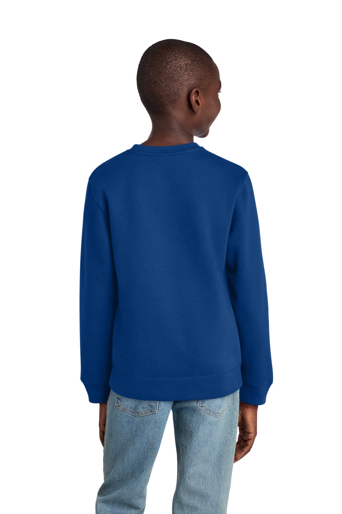 DeepRoyal District Youth V.I.T. Fleece Crew DT6104Y plain