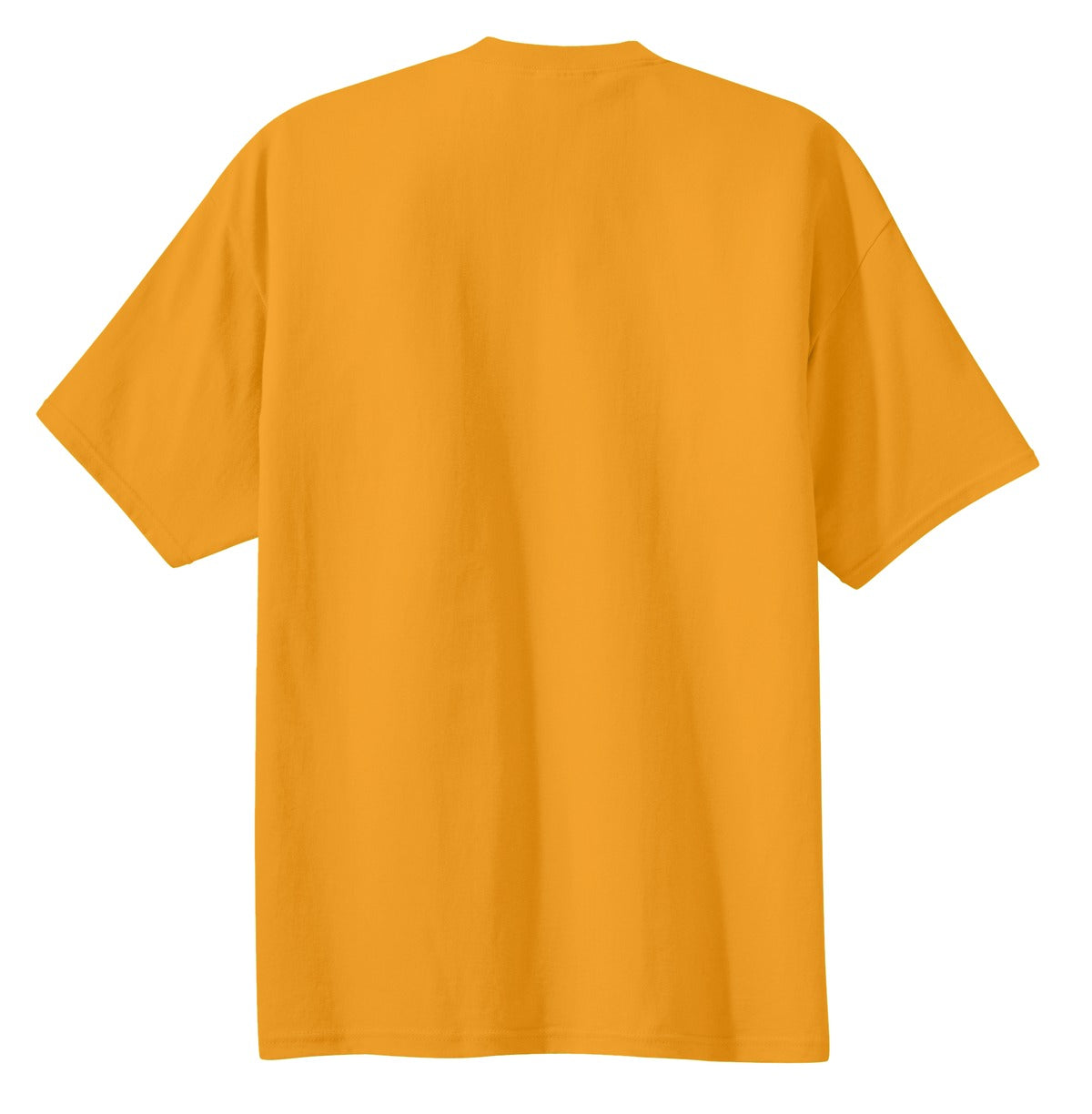Rear View of Gold Port & Co Essential Tee. PC61 plain