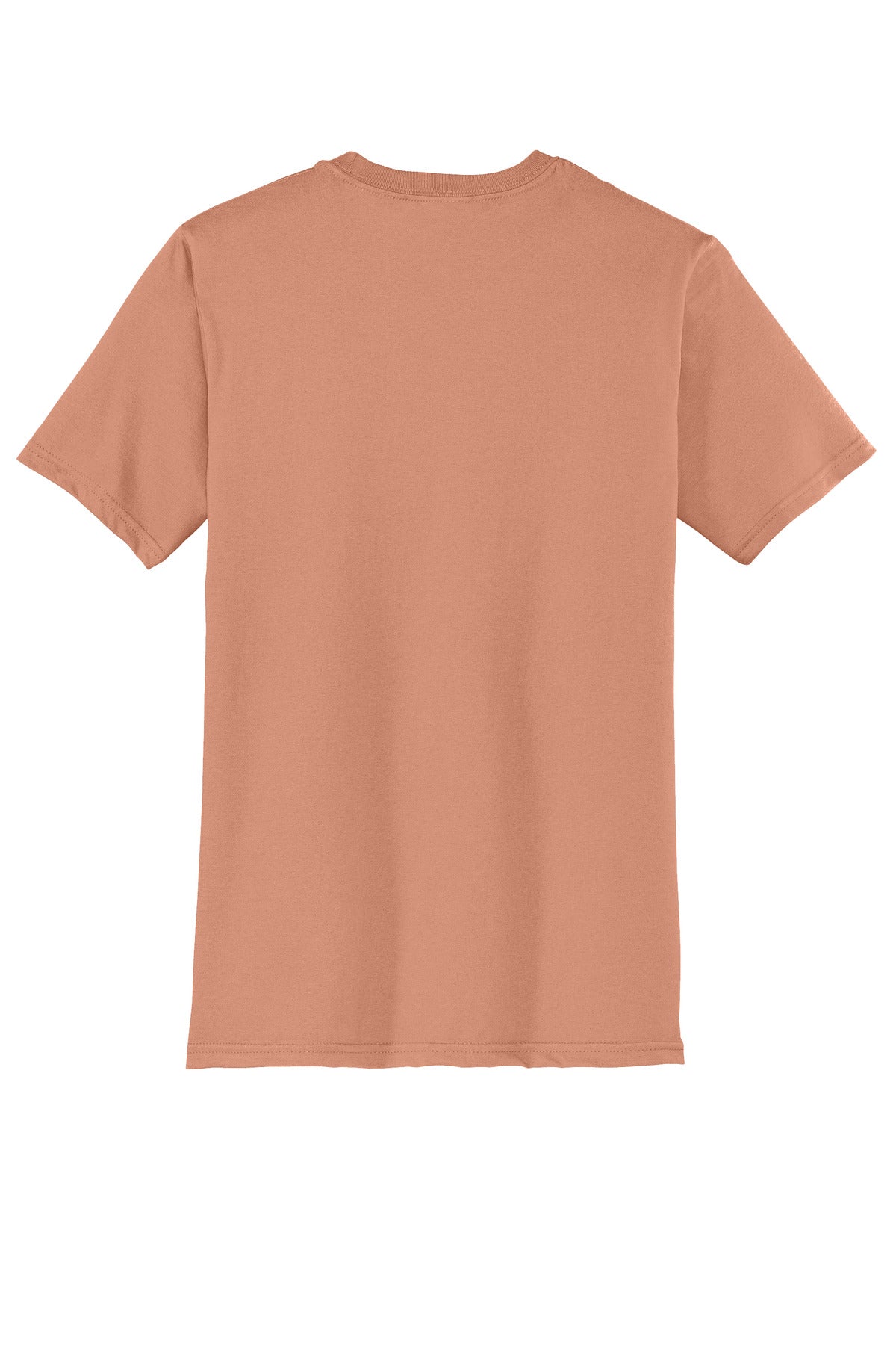 Rear View of NstlgiaRse District Very Important Tee . DT6000 plain