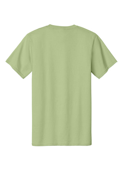 Rear View of Pistachio Port & Co Essential Tee. PC61 plain
