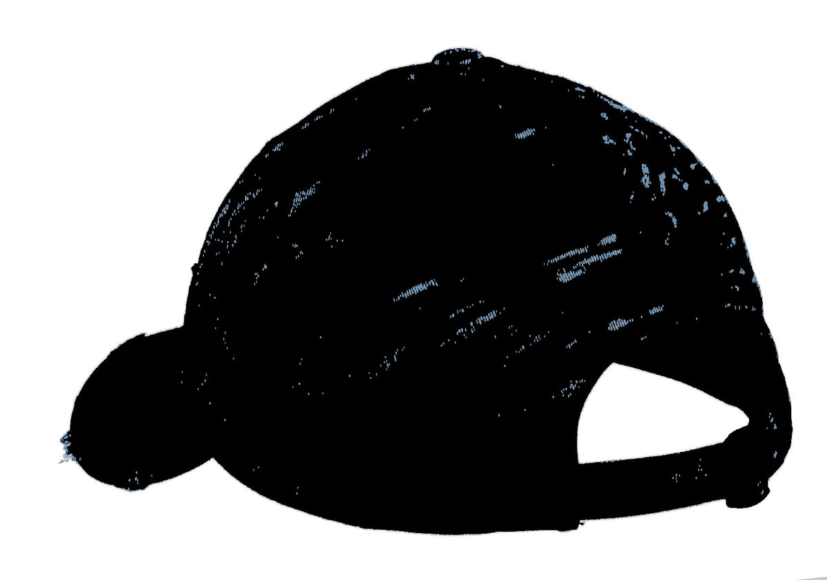 Rear View of Scotland Blue District Distressed Cap. DT600 plain