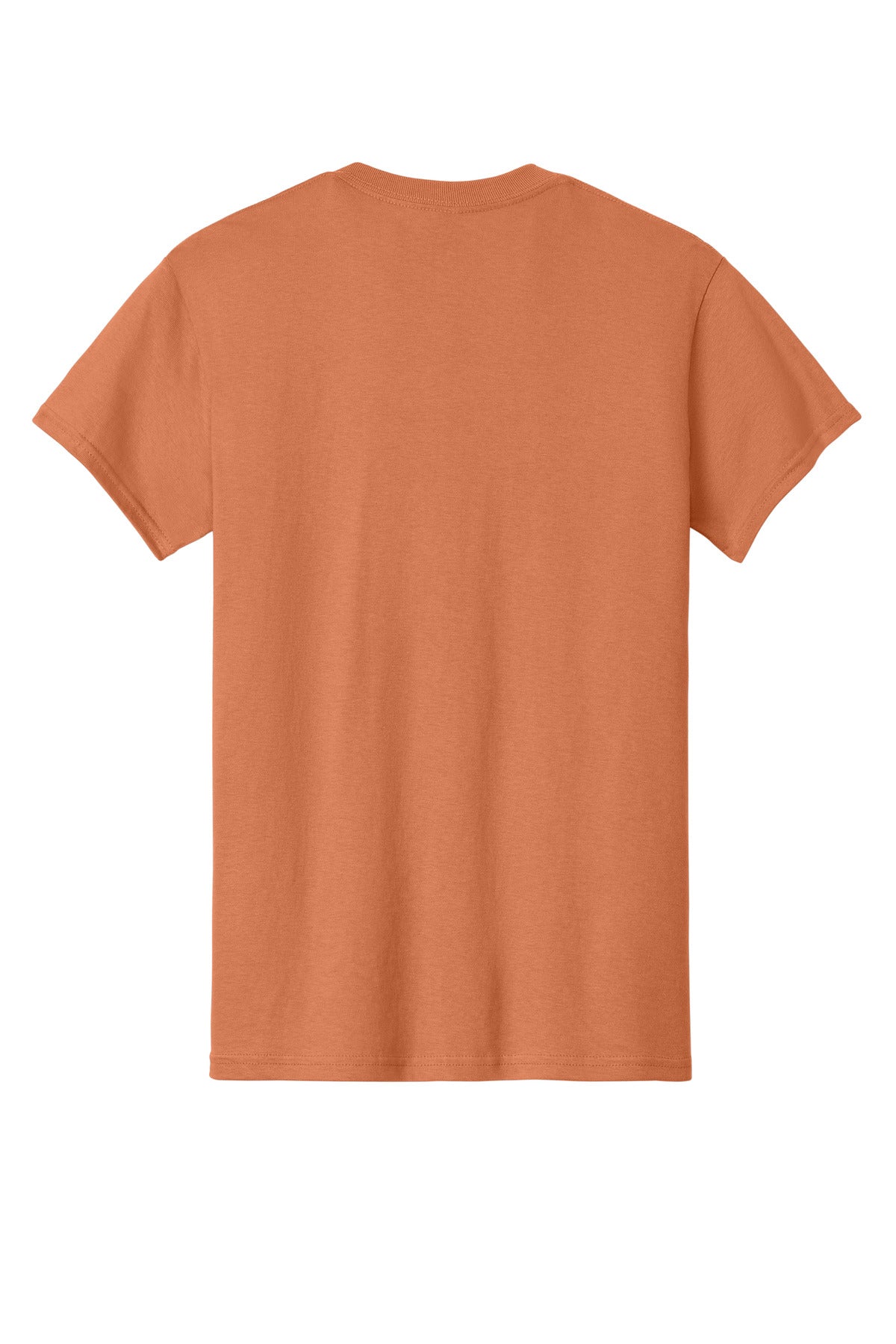 Rear View of Sunset Gildan - Heavy Cotton 100% Cotton T-Shirt. 5000 plain