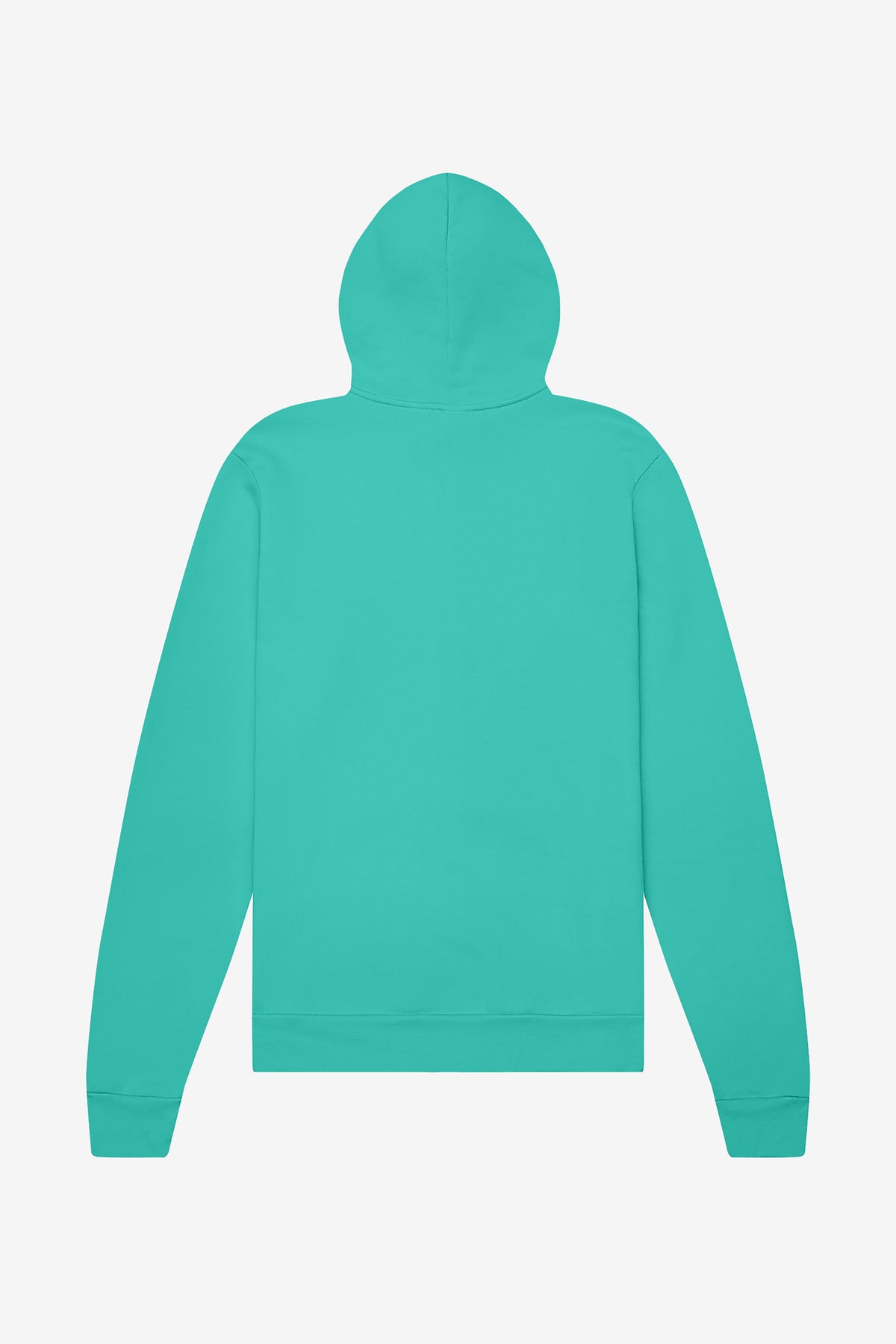 Rear View of Teal BELLA+CANVAS Unisex Sponge Fleece Full-Zip Hoodie. BC3739