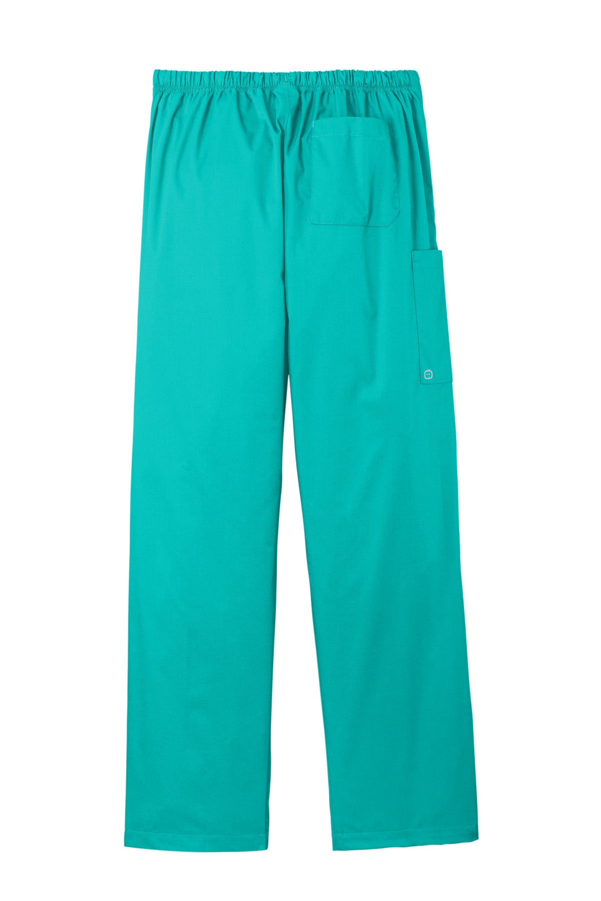 Rear View of Teal Wink Unisex WorkFlex Cargo Pant WW3150 plain