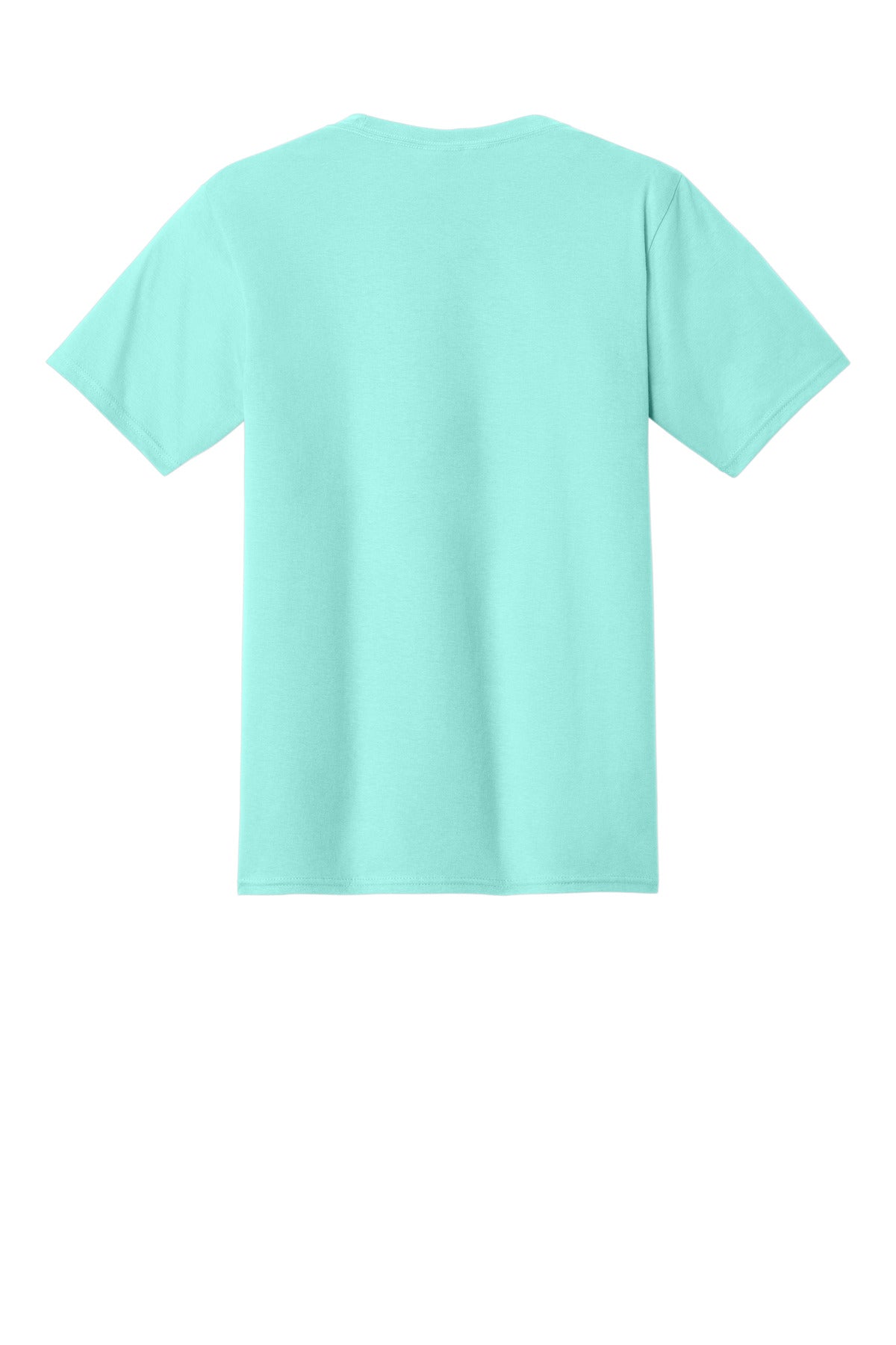 Rear View of True Celadon Port & Co Fan Favorite Tee. PC450 plain