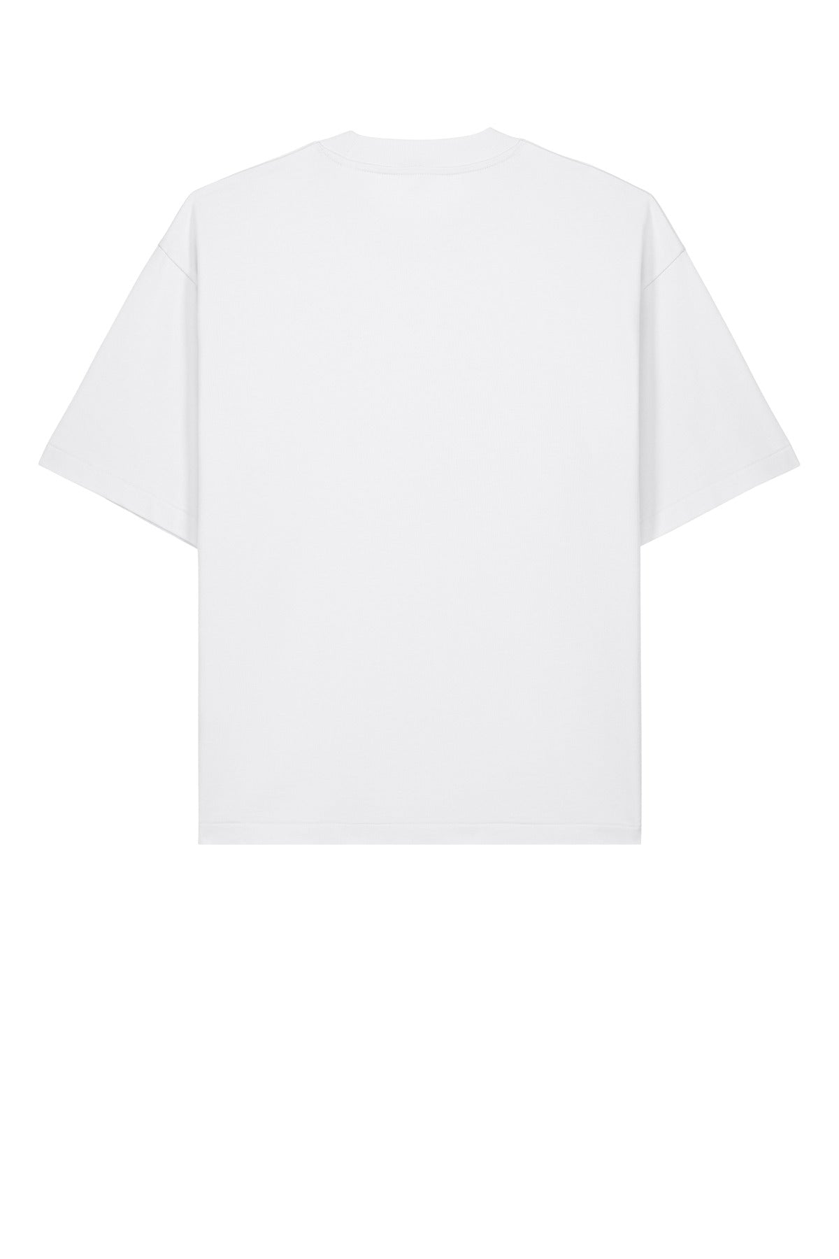 Rear View of White Stanley/Stella Unisex Asher Tee SXU039 plain