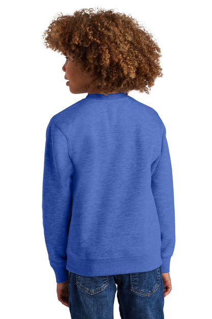 RoyalFrost District Youth V.I.T. Fleece Crew DT6104Y plain